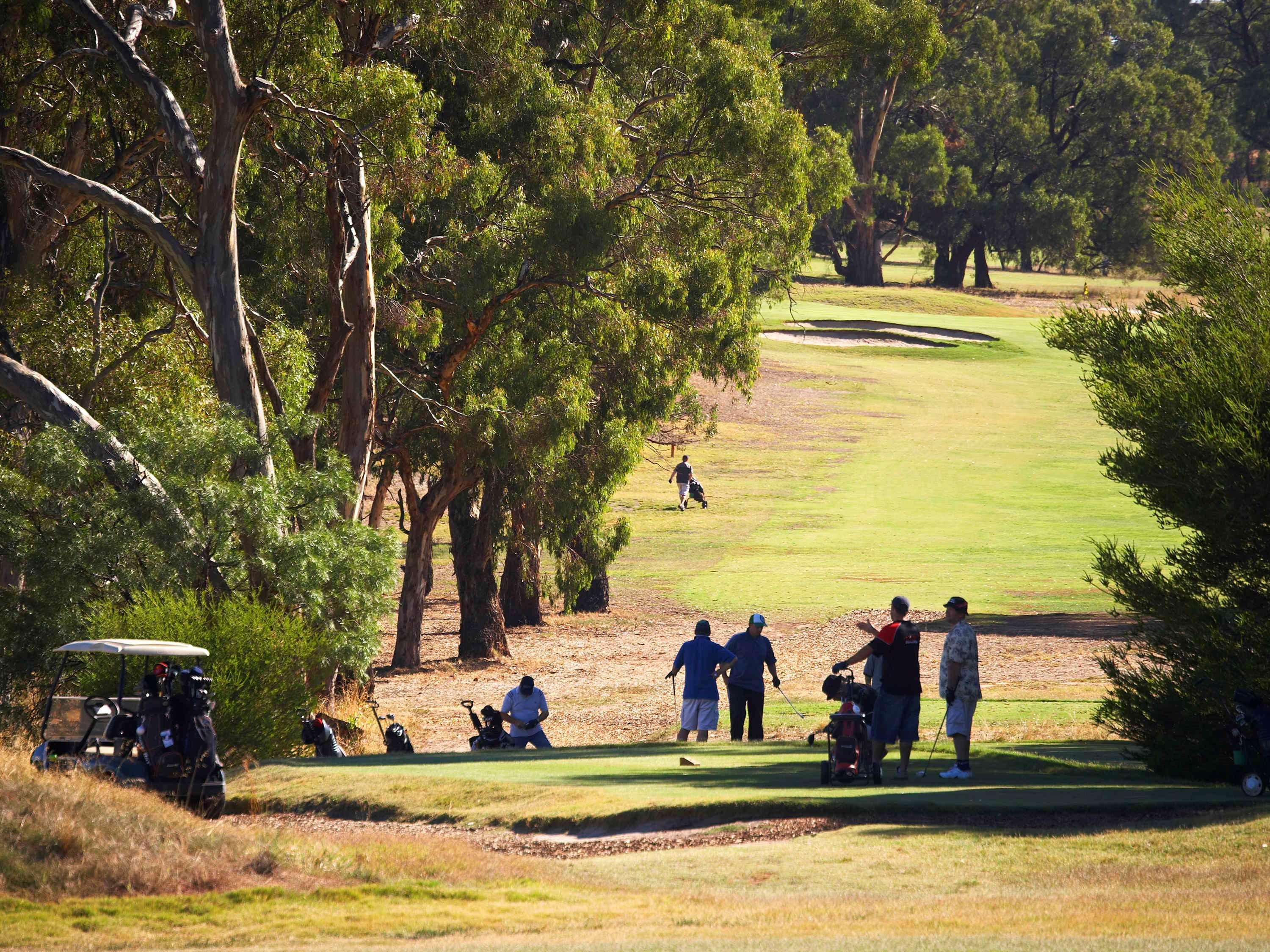 Novotel Barossa Valley Resort 4*